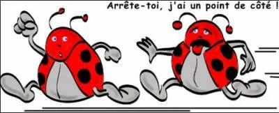 "... vole haut, il fait beau".