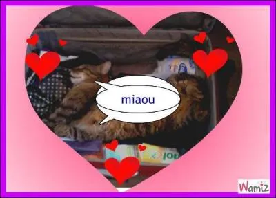 À la ..., l'hiver se noue.