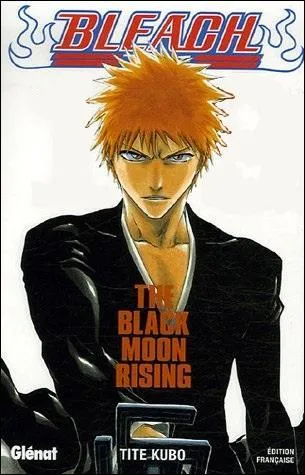 Quel est le numéro de ce tome ?