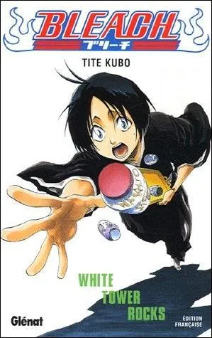 Quel est le numéro de ce tome ?