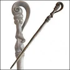 Quelle est la taille de sa baguette ?