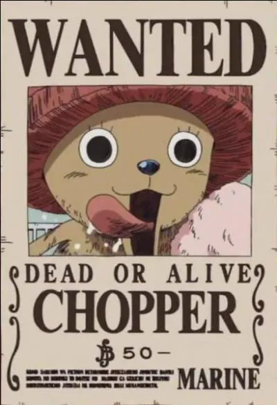 Que veut dire "Chopper" ?