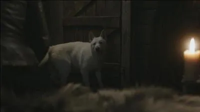 A qui appartient ce loup, il s'appelle Fantme ?