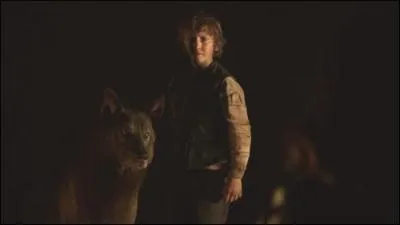 Comment se nomme le loup de Rickon ?