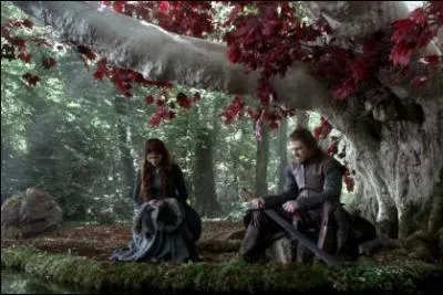 A ce moment, qu'apprend Eddard ?