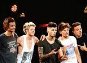 Quiz One Direction : mes hros