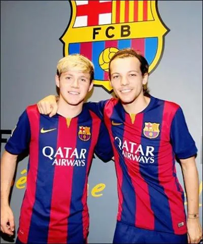 Quel est le sport préféré des One Direction ?