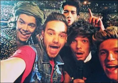 Quel âge ont les One Direction ? (2014)
