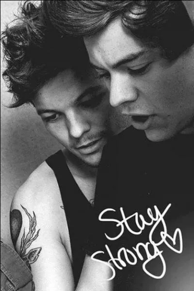 Quel est le nom de cette bromance ?