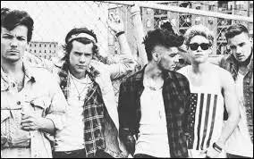 Comment s'appelle leur tourne 2014 ?