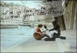 Quel membre des One Direction est surnomm  Daddy Direction  ?