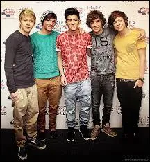 Dans quelle srie les One Direction ont-ils fait une apparition ?