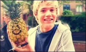 Quel membre des One Direction a déclaré : "Je n'aime pas les américaines, je n'aime pas les anglaises, je me marierai avec une française car j'aime la France" ?