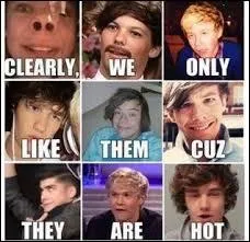 Lequel des One Direction est Irlandais ?