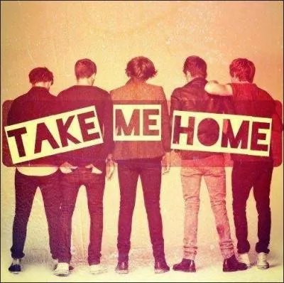 « Zayn a déjà pris de la nourriture dans l'assiette de Niall. Si vous aviez vu le regard de Niall ! ». Qui a prononcé cette phrase ?