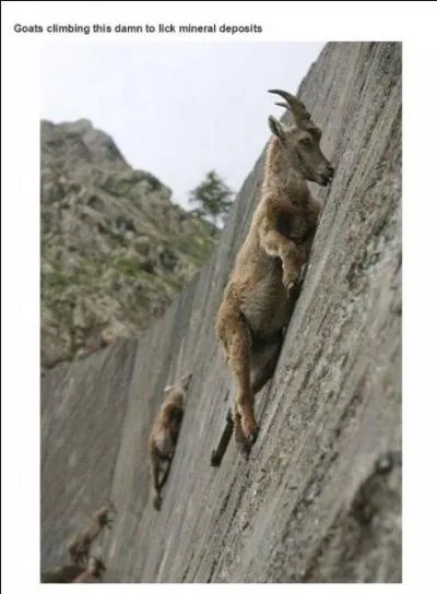 Bien entendu, cette photo est odieusement truque !