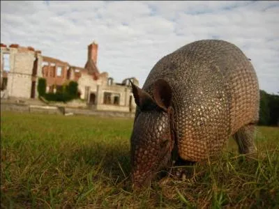 D'aprs cette photo, dans quel pays vous trouvez-vous ?