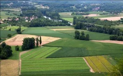 Quel est le type d'habitat possible pour le lapin ?