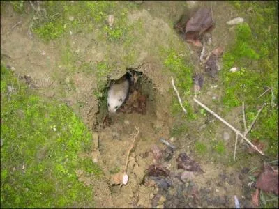 Quel est le problme du furetage ?