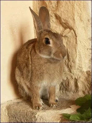 O est-elle situe plus prcisment ?