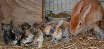 Combien peut-il y avoir de portes par an ?