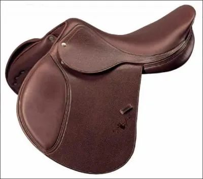 Qu'est-ce qui ne fait pas partie de la selle ?