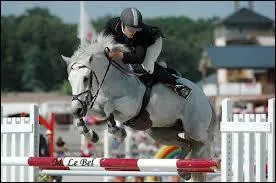 Qu'est-ce que veux dire le mot reining ?