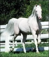 Laquelle de ces phrases n'est pas un proverbe connu ?