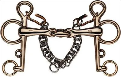 Ce mors est sans doute le plus dur. Il a un effet de levier assez fort pour solliciter un  plac  d'autorit et une prise importante sur la mise en avant. Il faut donc l'utiliser sur des chevaux avec de l'impulsion. De quel mors s'agit-il ?