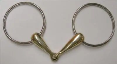 Plus les anneaux sont grands, plus ils encadrent le cheval. Son effet agit sur l'encadrement latral et la direction. Son action directe sur la bouche a un effet releveur, ce qui aide au rquilibre et permet une mise sur la main un peu plus haute. De quel mors s'agit-il ?