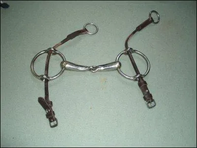 Ce mors a une action prcise sur l'quilibre du cheval. Il l'oblige  redresser l'intgralit de son avant-main et  reporter son poids sur son arrire-main. Il ncessite l'emploi de montants spciaux. De quel mors s'agit-il ?