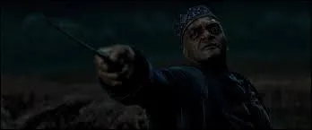 Quel est le patronus de Kingsley Shacklebolt ?