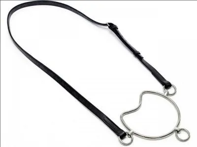 Ce mors ne s'utilise que pour la présentation en main des étalons et la promenade des chevaux chauds à la longe. Il ne s'utilise jamais à la monte, bien qu'il puisse être confondu avec un mors de course. En effet, il a une action très violente sur les barres lorsque le cheval se cabre ou charge. C'est...