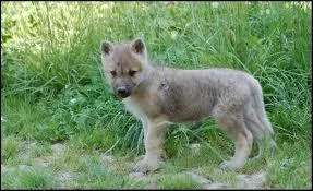 Un marin expriment peut tre appel ...