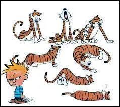 Que peut bien tre la pandiculation ?