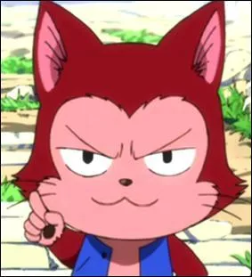 Et ce chat, quel est son nom ?