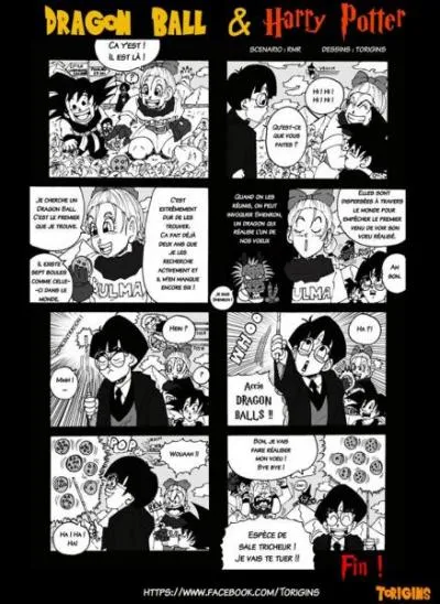 Qui va pouvoir raliser son vu ?