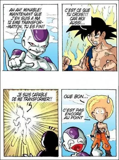 En quoi Sangoku s'est-il transform ?