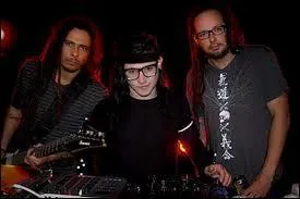 Avec quel groupe de rock Skrillex fait-il quipe pour quelques chansons ?