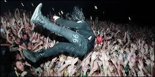 Skrillex saute sur ses fans  tous ses concerts.