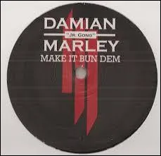 Quel est le nom de la chanson faite avec Damian Marley ?