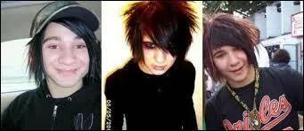 Skrillex tait-il dans un groupe de rock ?