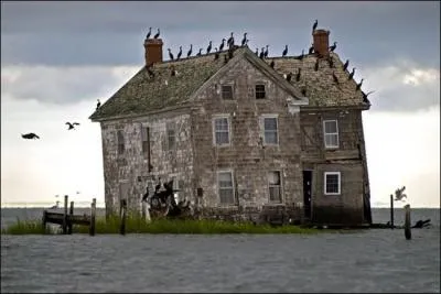 Il paraît que l'on peut entendre mon premier le soir au fond des bois, mon deuxième est un mégaoctet, mon troisième tient une place dans la file, mon tout squatte le toit de cette vieille maison !