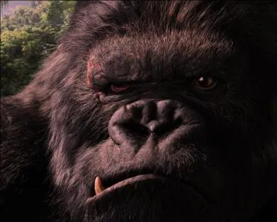 Jacques Brel dit de mon premier qu'il n'est pas tout seul, on dit qu'il y a loin de mon deuxième aux lèvres, mon tout est un super-primate de Quiz.biz !