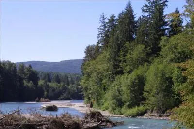 Mon premier interroge, mon deuxième peut donner lieu à une prise, mon tout fut chanté par Robert Charlebois dans "Les ailes d'un ange" !