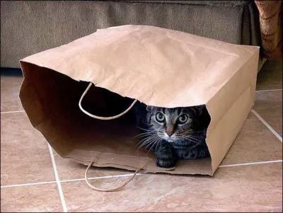 Mon premier est une interjection, mon deuxième pose une condition, mon troisième se colle, on trouve refuge dans mon tout !