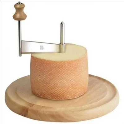 Quel est ce fromage à pâte ferme ?