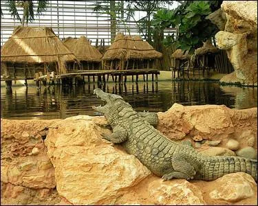 Dans quel département dont une des villes est réputée pour ses olives, irez-vous visiter la ferme aux crocodiles, dans la petite ville de Pierrelatte ?