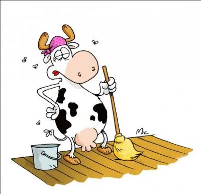 Que dire si vous êtes sur la terre ferme ?