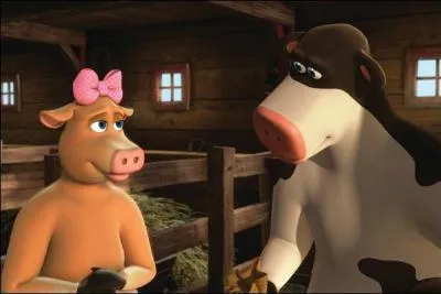 Quel est ce film de Steve Oedekerke ?